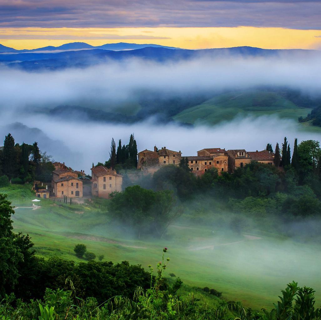 感受大自然音乐的神奇力量 | 在线播放 | 网易云音乐