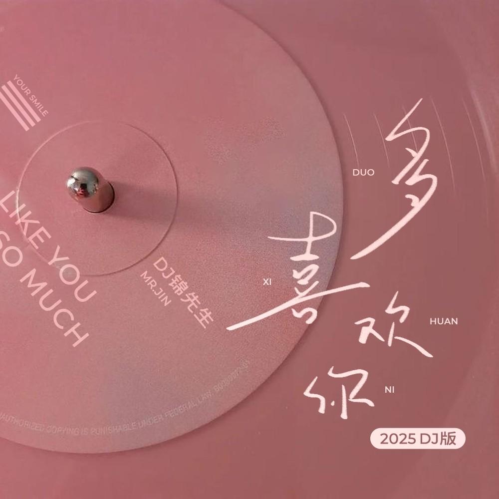 多喜欢你 2025 (DJ版)