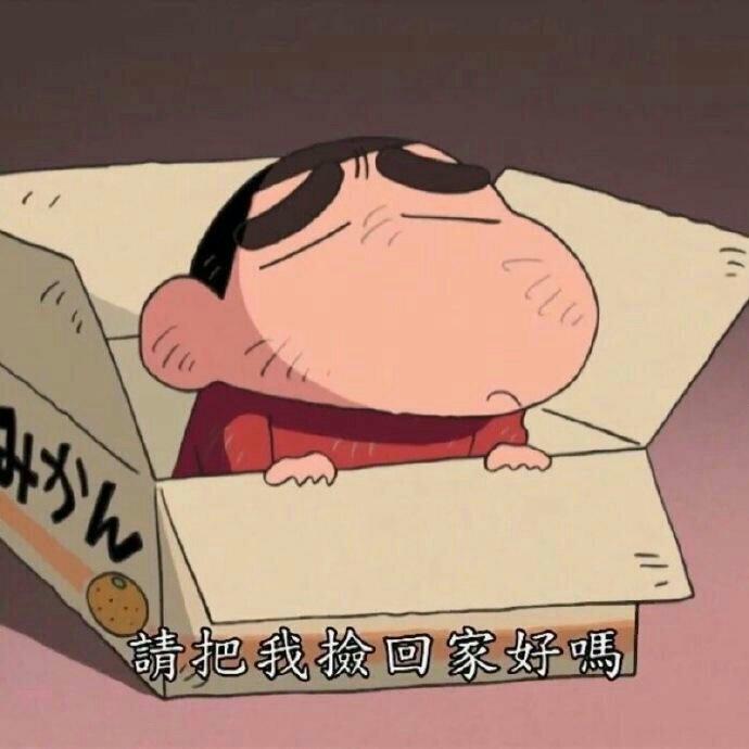 脸红的思春期 ‖青春学概论‖10cm