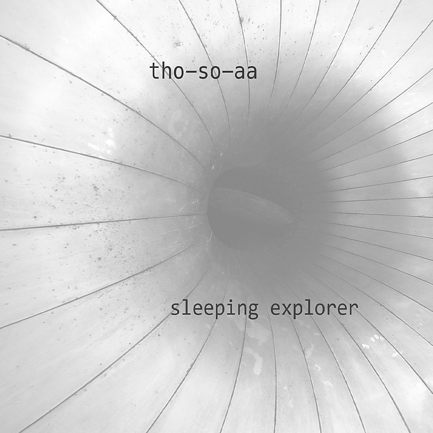 Sleeping Explorer