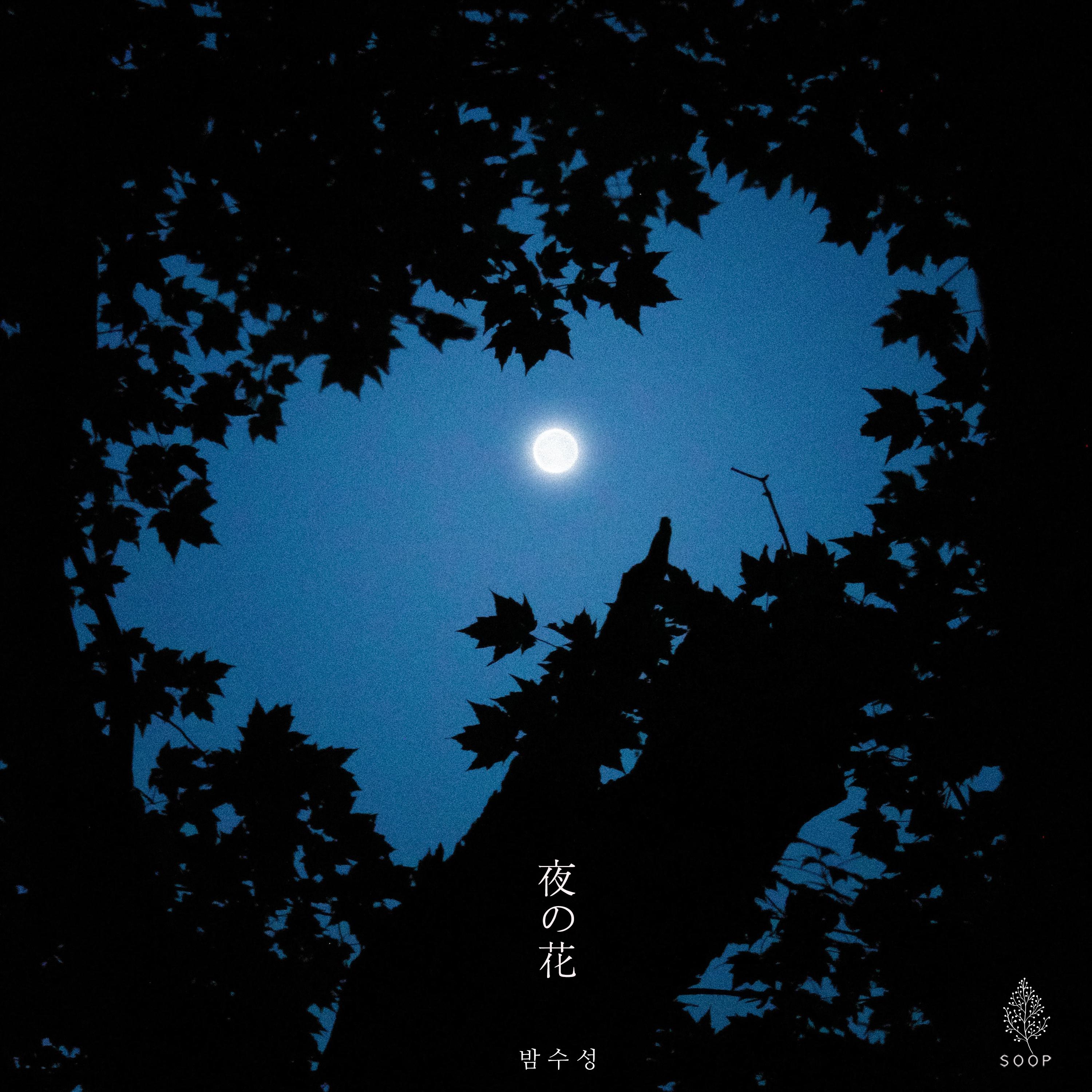 밤의 꽃 (夜の花)专辑