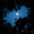 밤의 꽃 (夜の花)