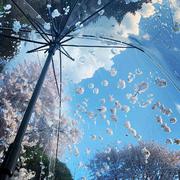 我心匪石不可转