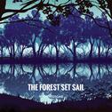 The forest set sail专辑