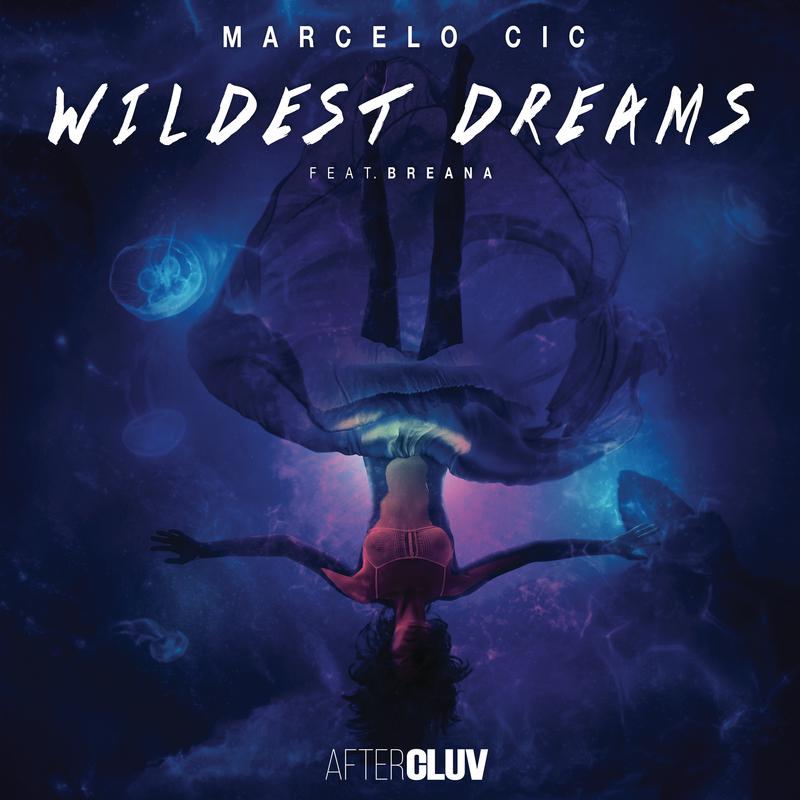 Wildest Dreams (Radio Edit)专辑