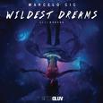 Wildest Dreams (Radio Edit)