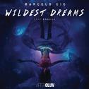 Wildest Dreams (Radio Edit)专辑
