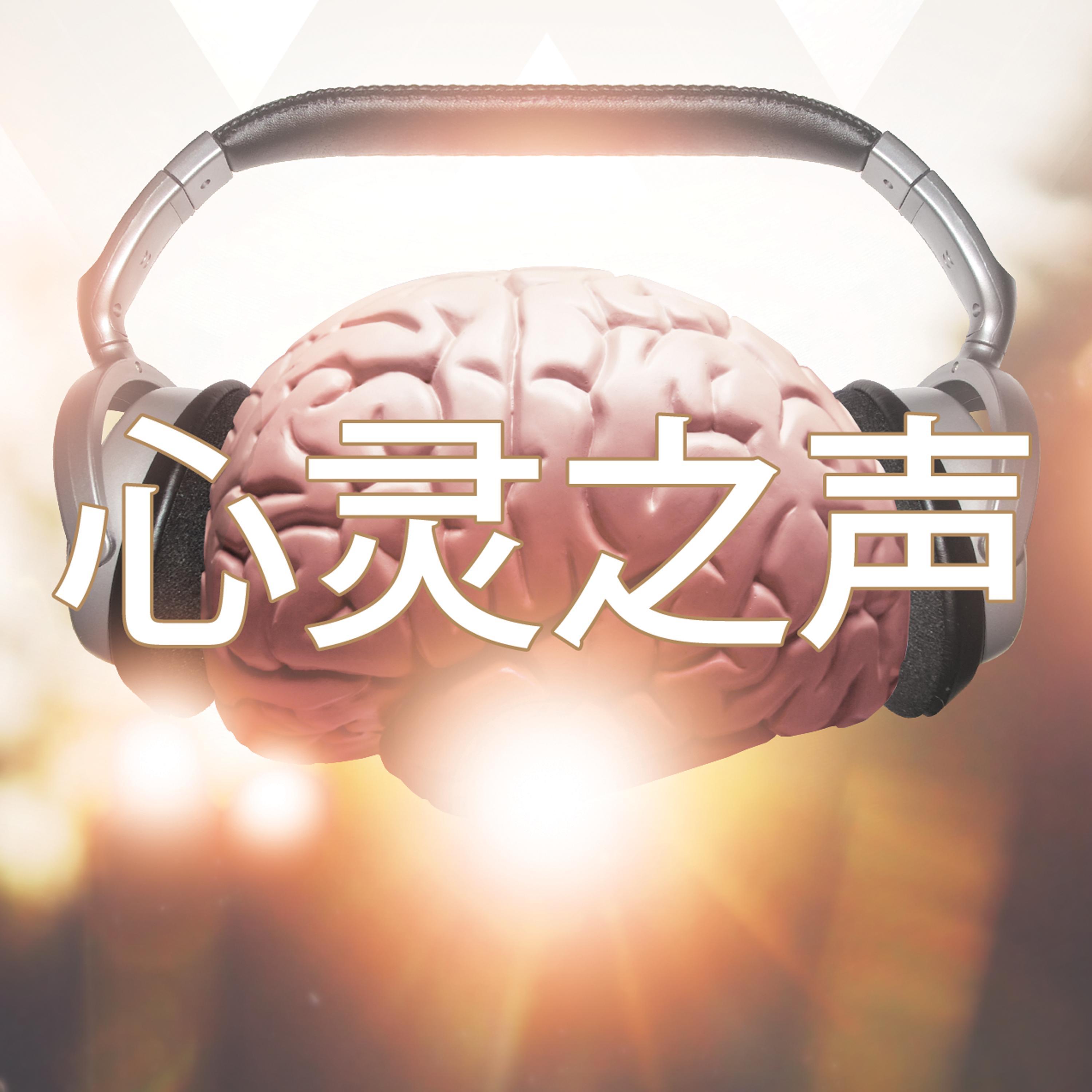 心灵之声