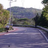 丢失的火车 (带和声) (原版立体声)
