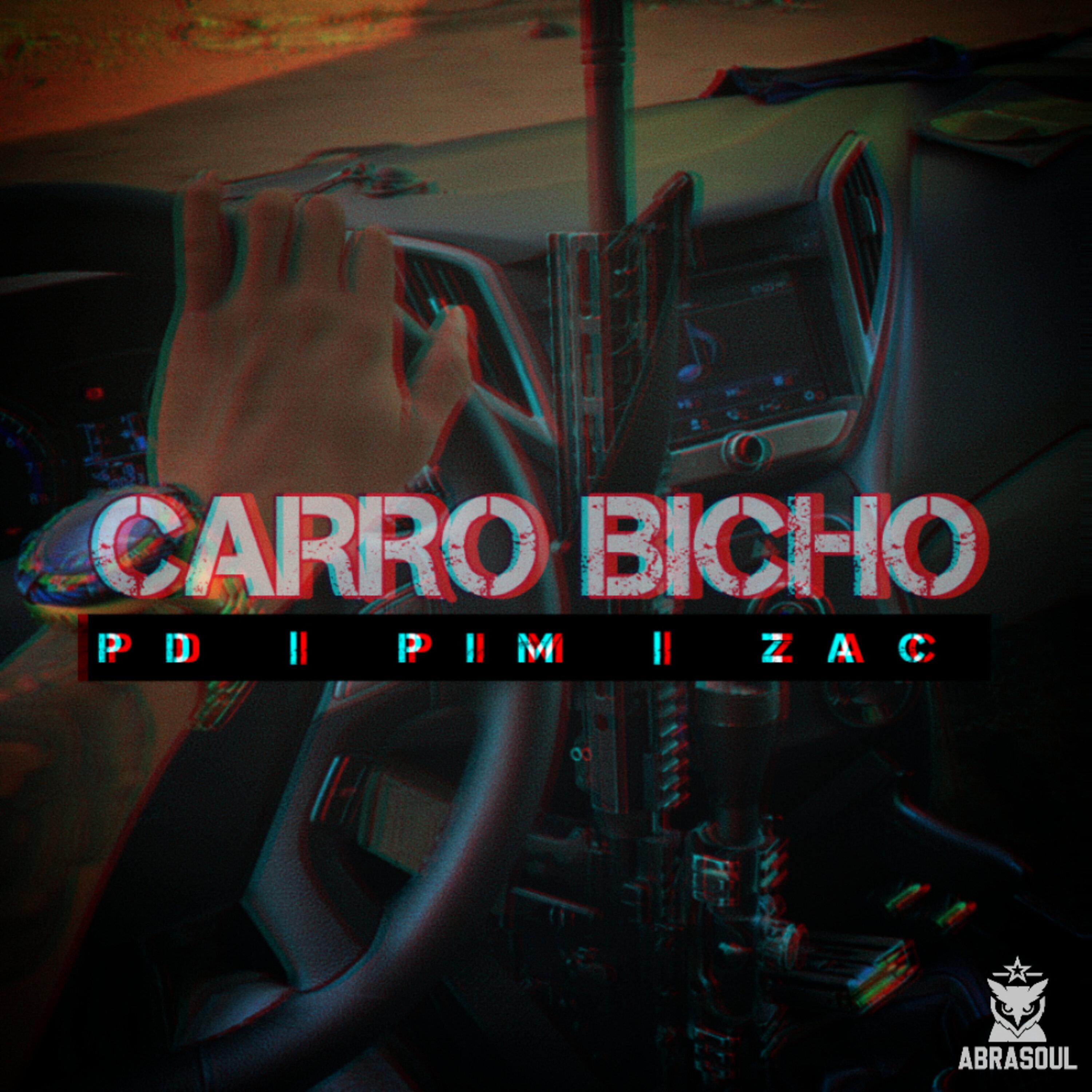 Carro Bicho