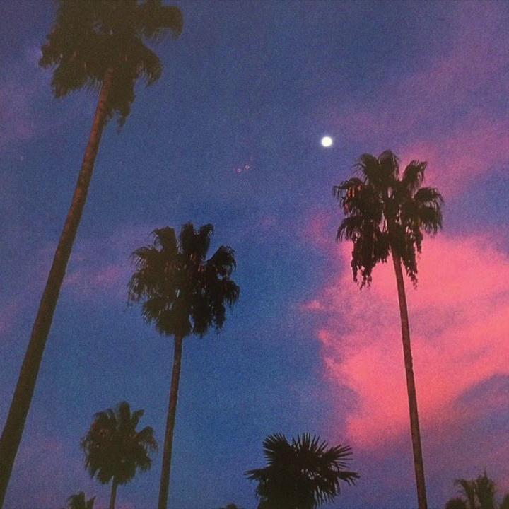 西海岸 G-Funk