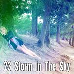 23 Storm In The Sky专辑