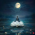 莲华（Lotus Light）