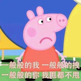 沈以诚 焦迈奇 徐秉龙