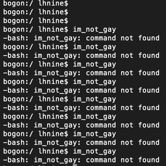 I'm not gay