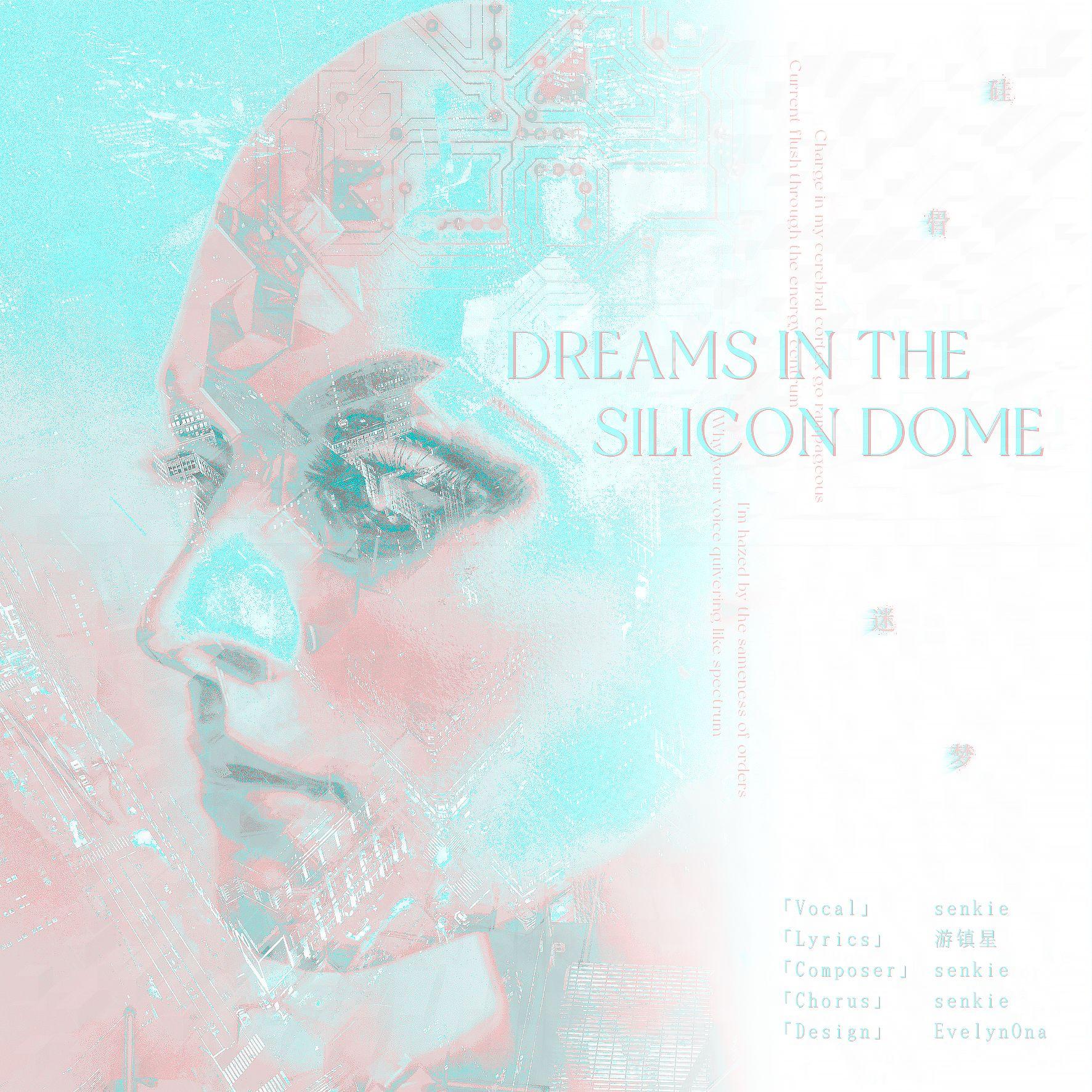 硅骨迷梦（Dreams in the silicon dome） 伴奏