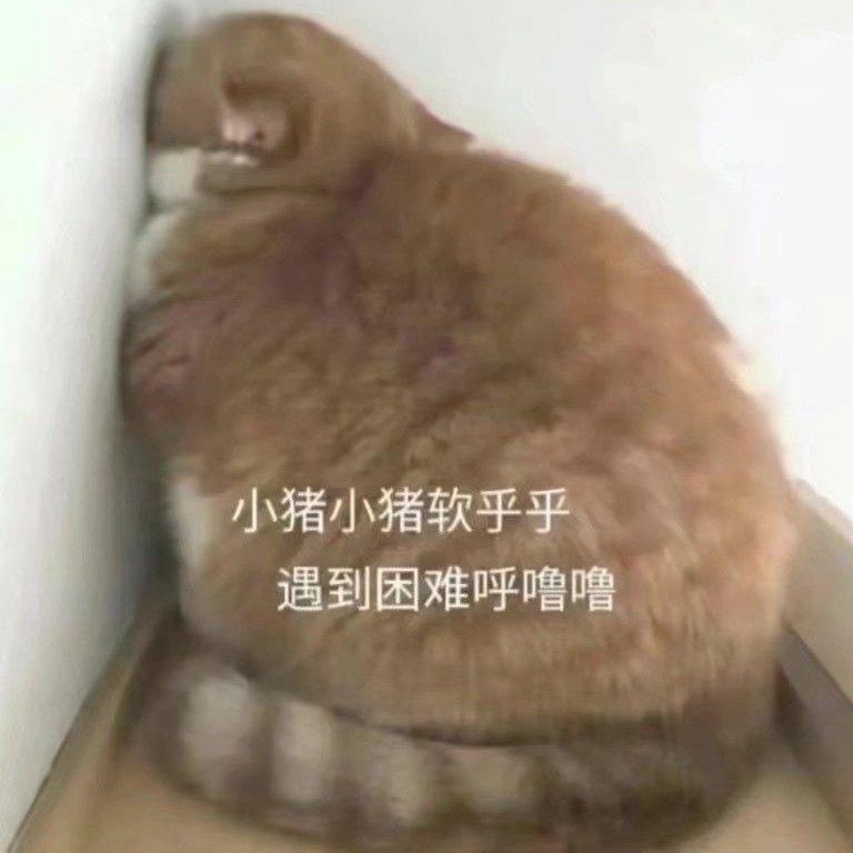 喔喔喔喔喔喔喔~——