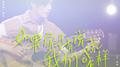 如果你没有说谎我们会怎样专辑
