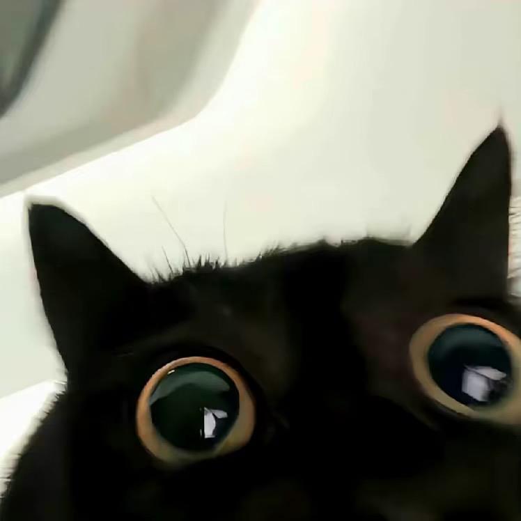 今夜星光闪闪（纯音乐lucky ）