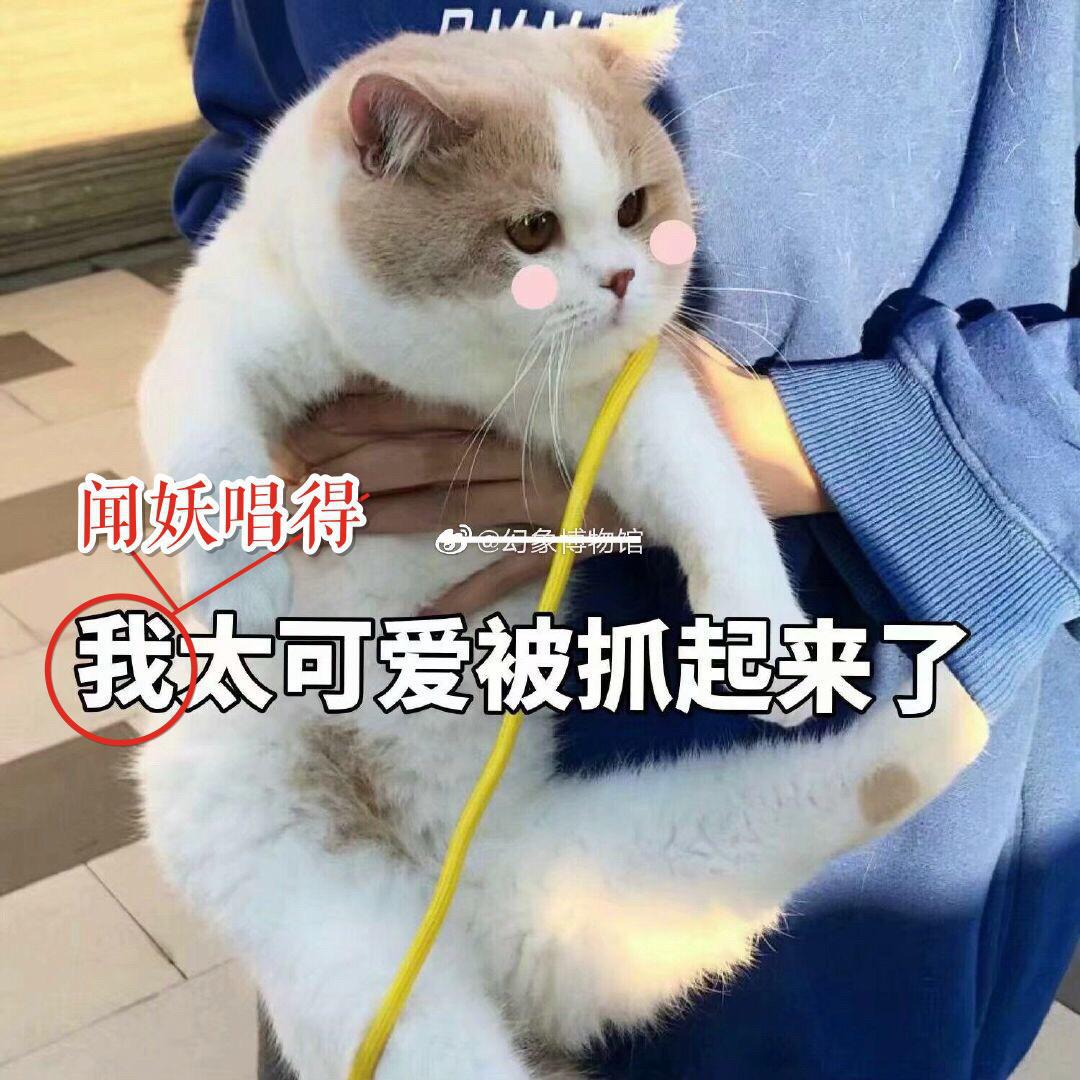 闻妖