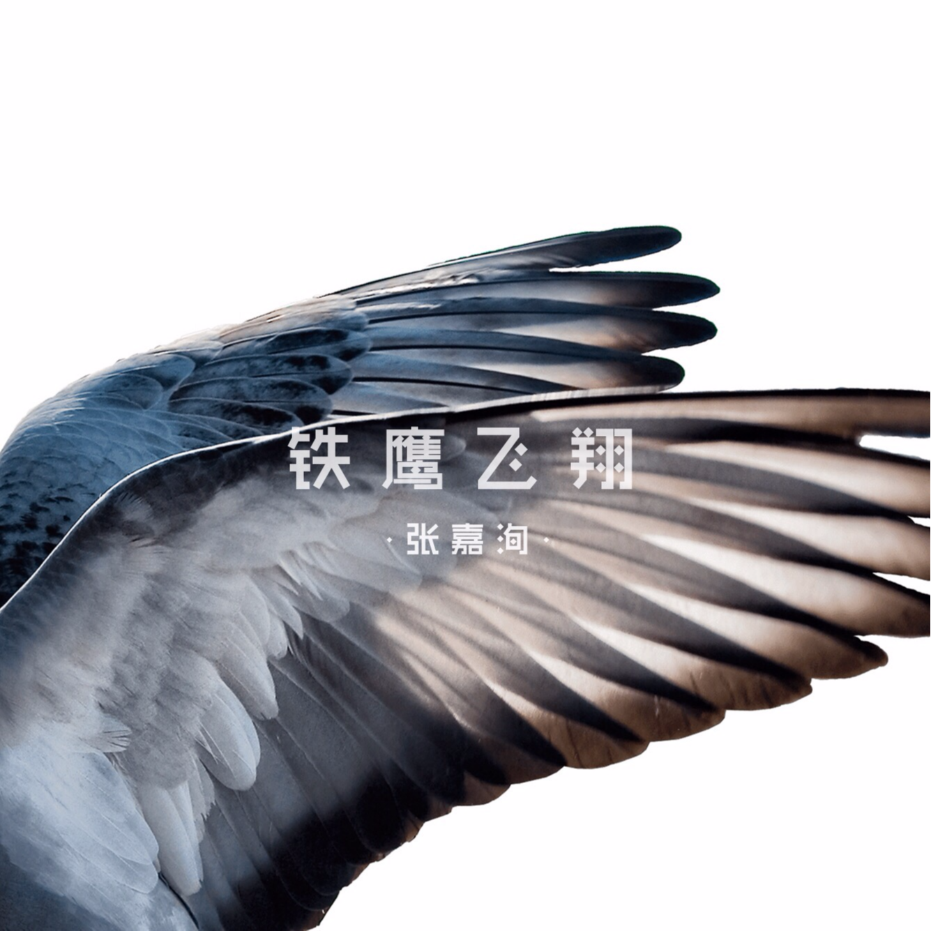 铁鹰飞翔