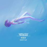 Key (R7CKY Flip)