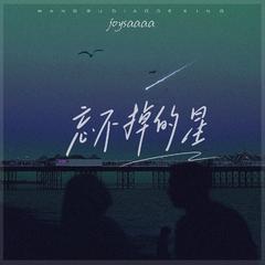 Joysaaaa《忘不掉的星吉他谱》_编排美轮美奂