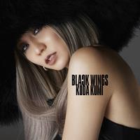 倖田來未 - Black Wings