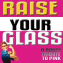 Raise Your Glass (a Tribute To Pink)专辑