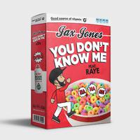 原版伴奏 You Don\\'t Know Me - Jax Jones Ft. Raye (karaoke)