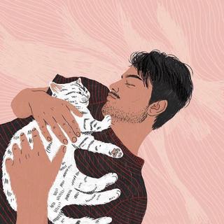 就养一只猫吧，你喜欢猫，我喜欢你