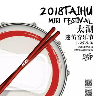 2018太湖迷笛最全精华版