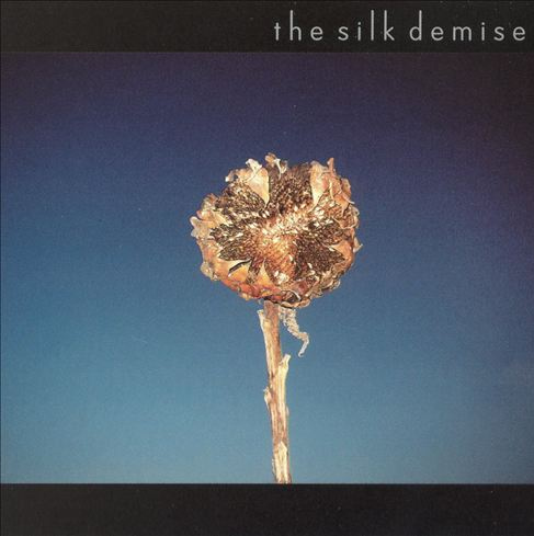 The Silk Demise