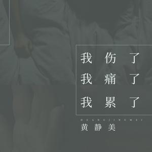 潘子华 - 我累了我痛了