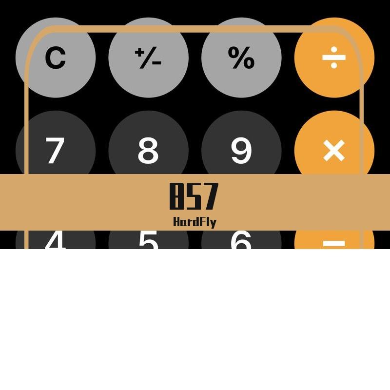 计算机857（HardFly remix）