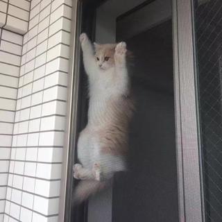 我小心眼儿