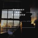 Destiny And Conquer（Funny face Remix）专辑