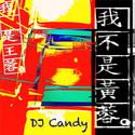 我不是黄蓉 (DJcandy Mix)