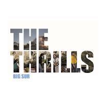 Big Sur - the Thrills (unofficial Instrumental)