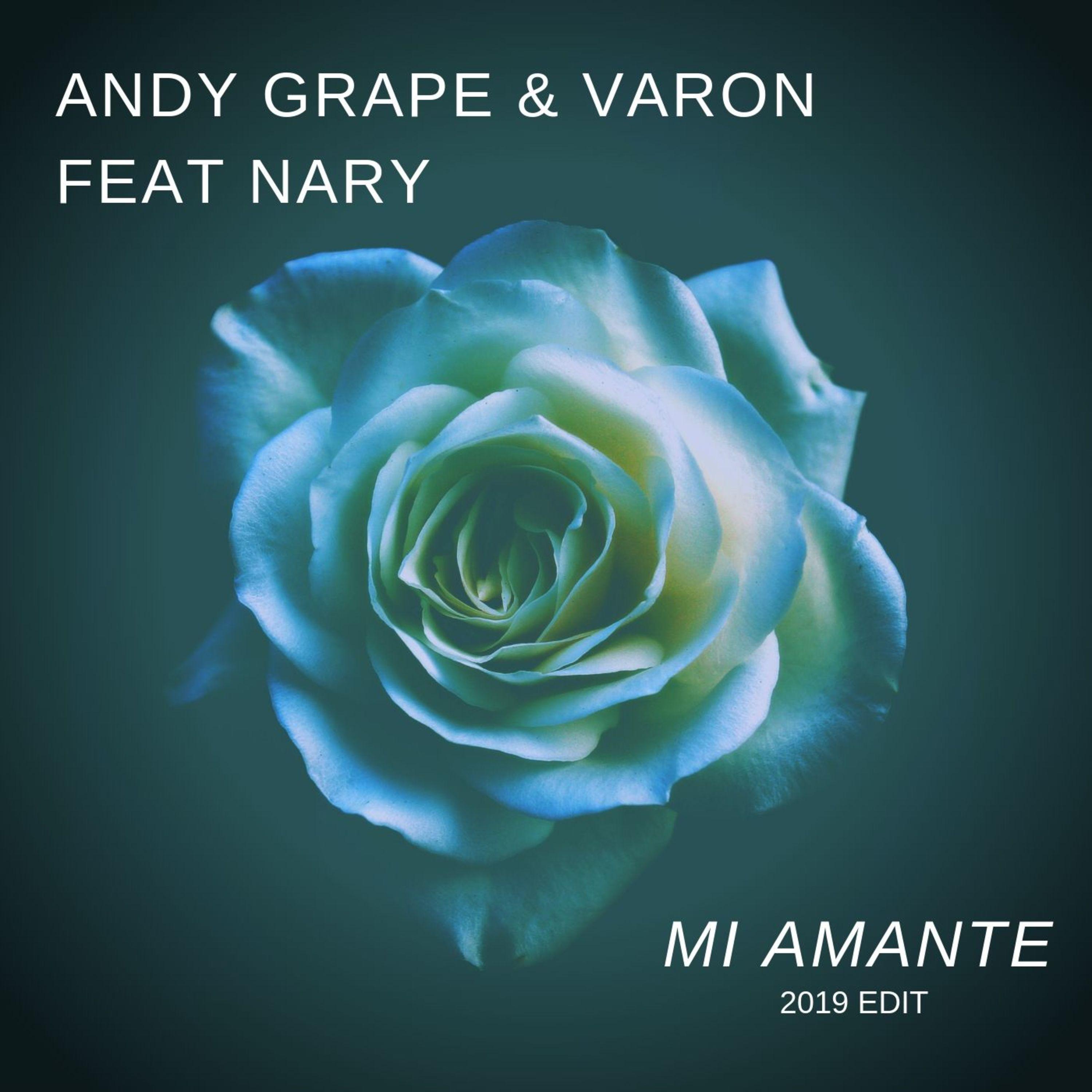 Mi Amante (feat. Nary & Varon) (2019 Edit)