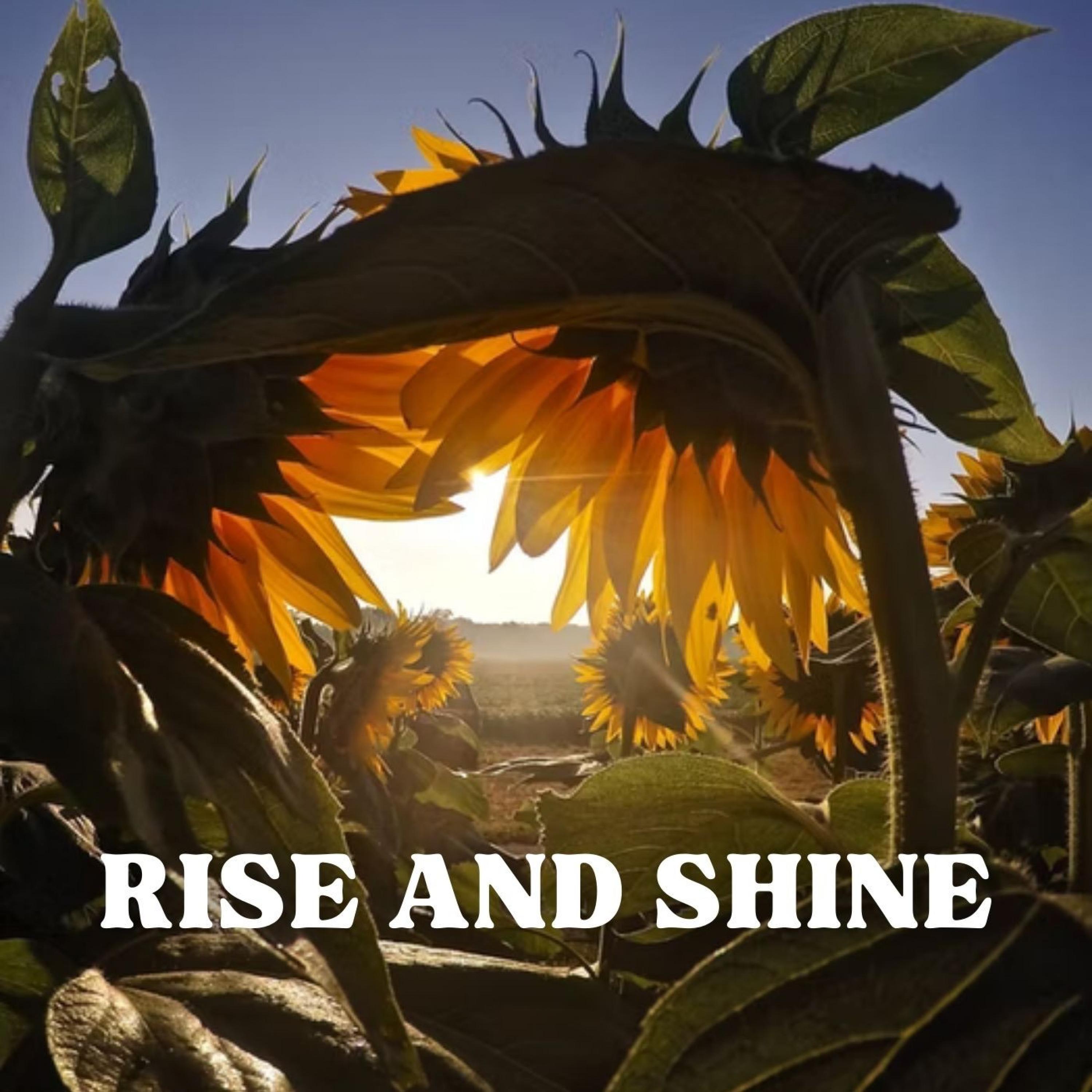 Rise and Shine