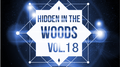 Hidden In The Woods Vol.18专辑