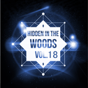 Hidden In The Woods Vol.18专辑