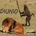 DIUNIO