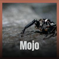 Roto Oyie - Keen Daytime