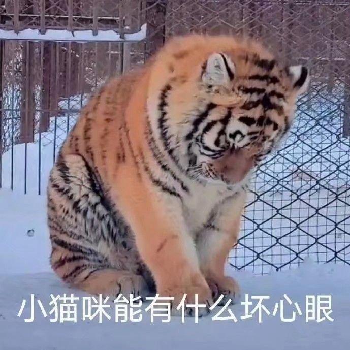 雀不过愛你歌单 Creator 阿莫盘尼和西林 华语免费歌单 千思维歌单网