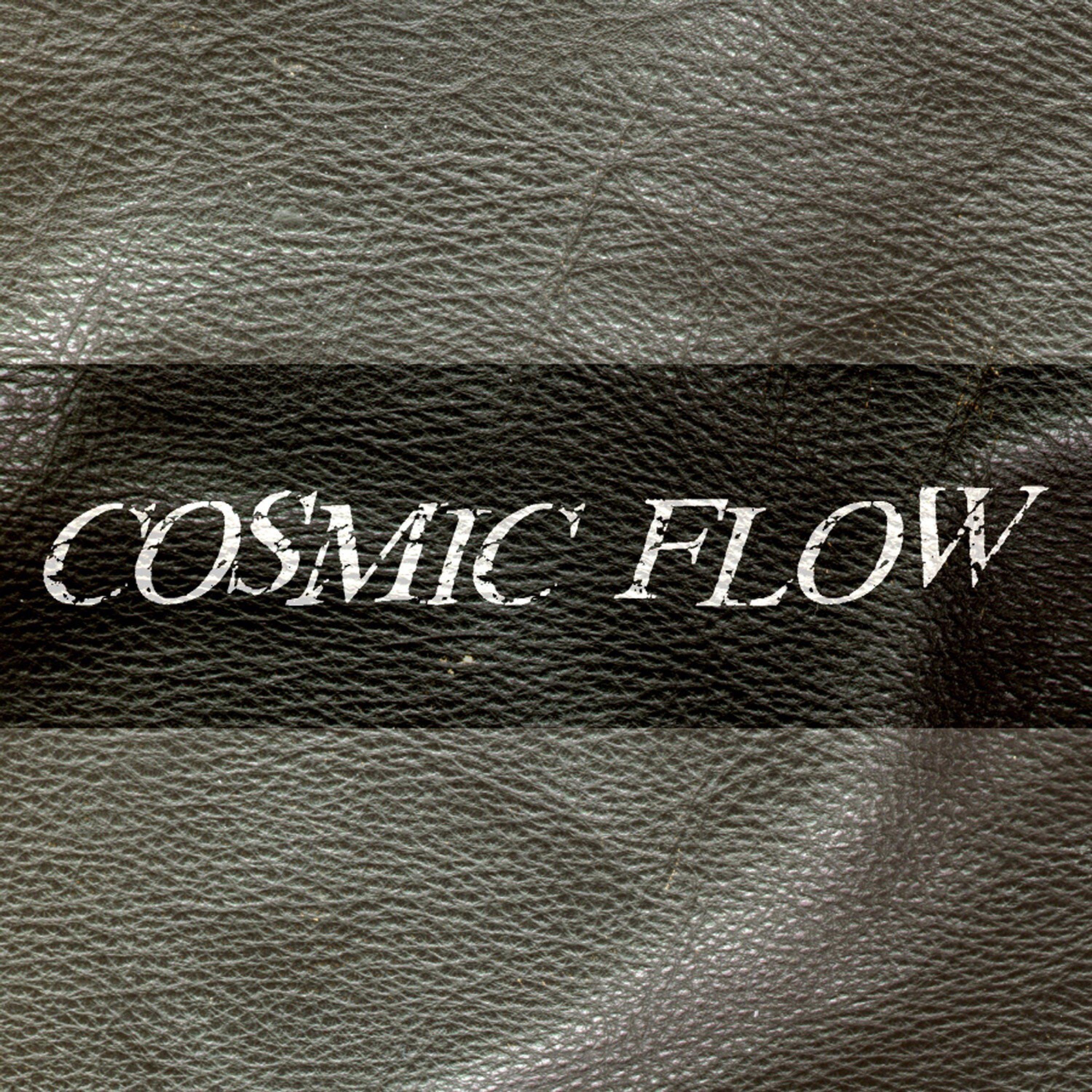 Cosmic Flow - Addicted to the Flow