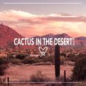 CACTUS IN THE DESERT