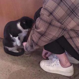阿什肯纳奇 世界留下的音乐