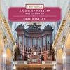 Sonata No.4 in E Minor, BWV 528: Adagio/Vivace